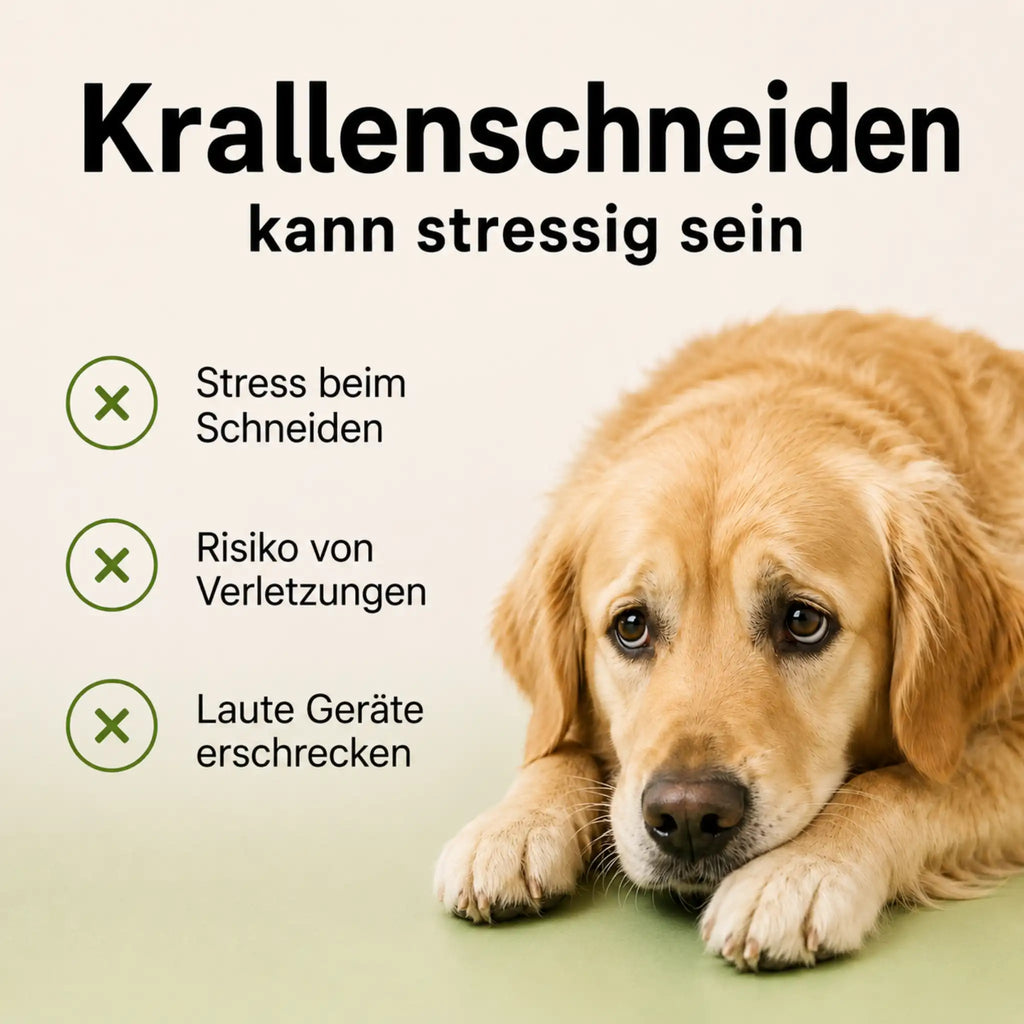 NailBuddy | Krallenschleifer