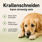 NailBuddy | Krallenschleifer