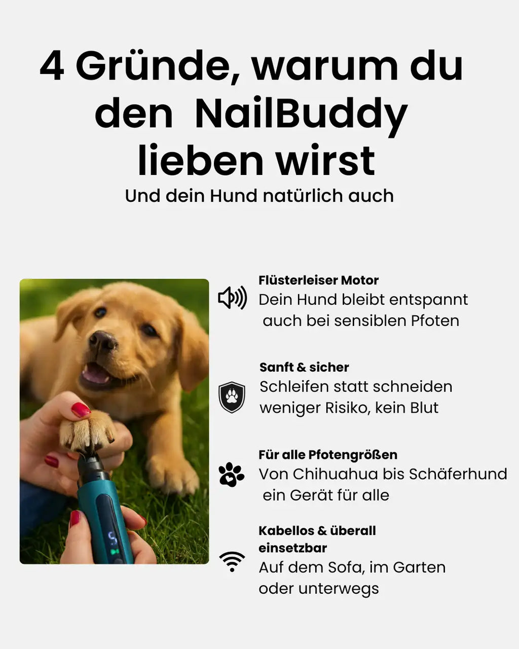 4 Gründe für den NailBuddy