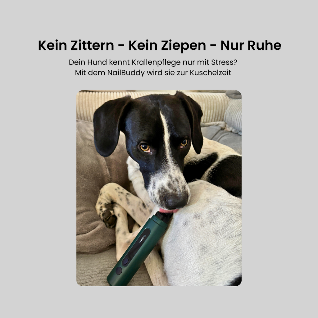 NailBuddy | Krallenschleifer
