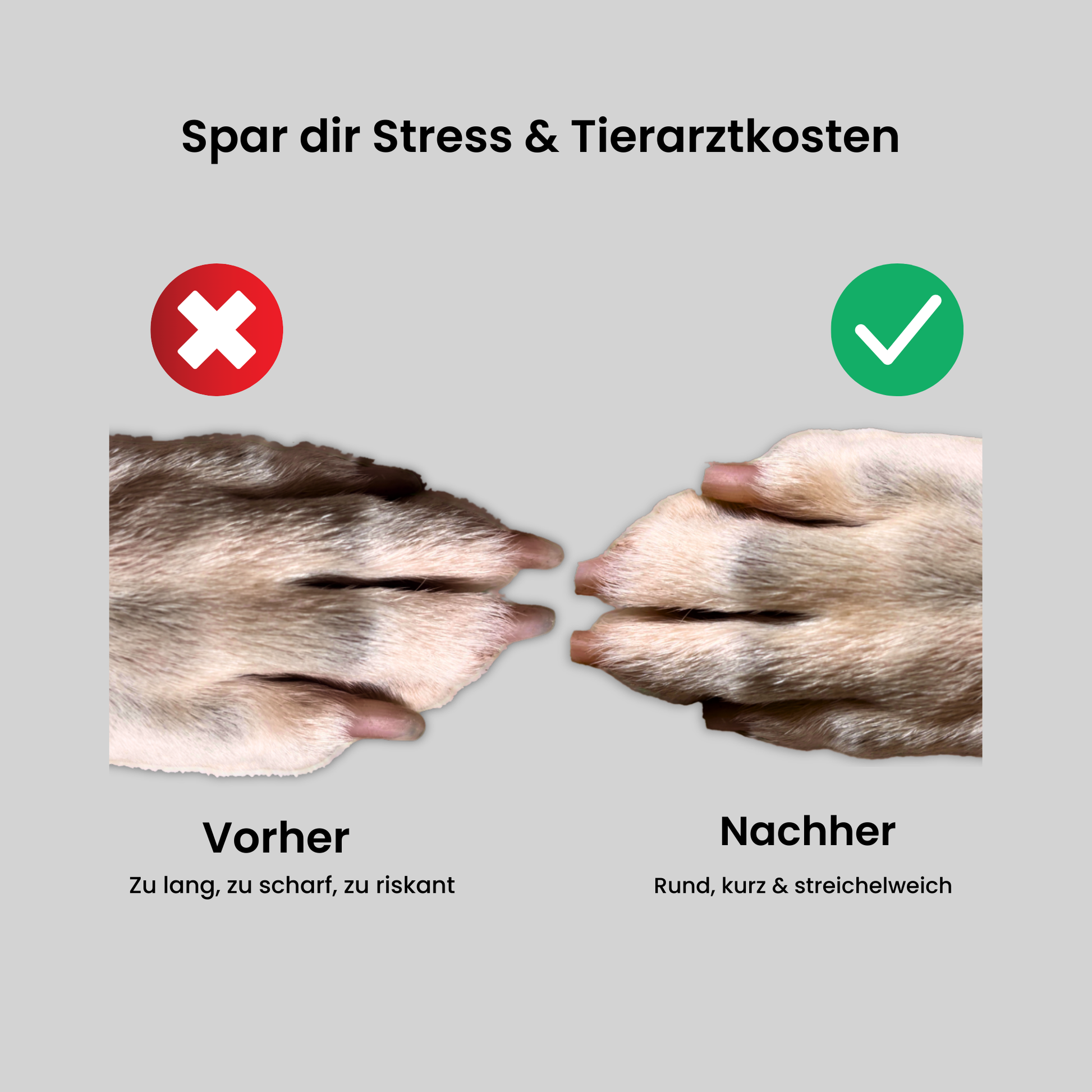 NailBuddy | Krallenschleifer