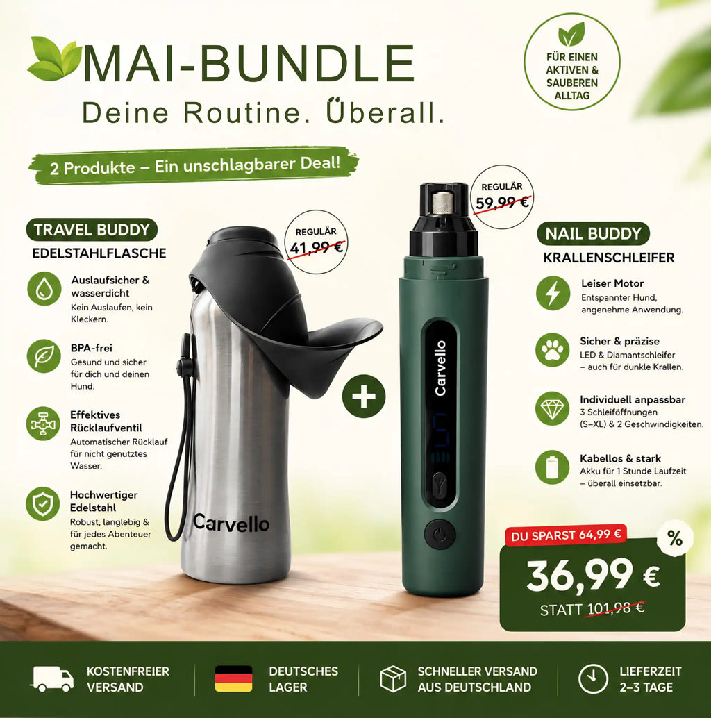 NailBuddy + TravelBuddy Bundle