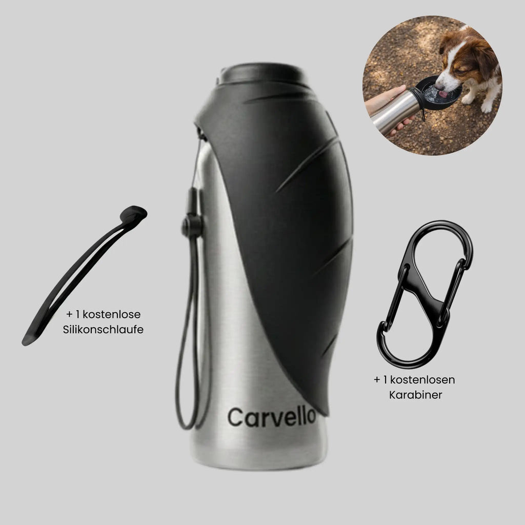 TravelBuddy | Edelstahl Trinkflasche für Unterwegs