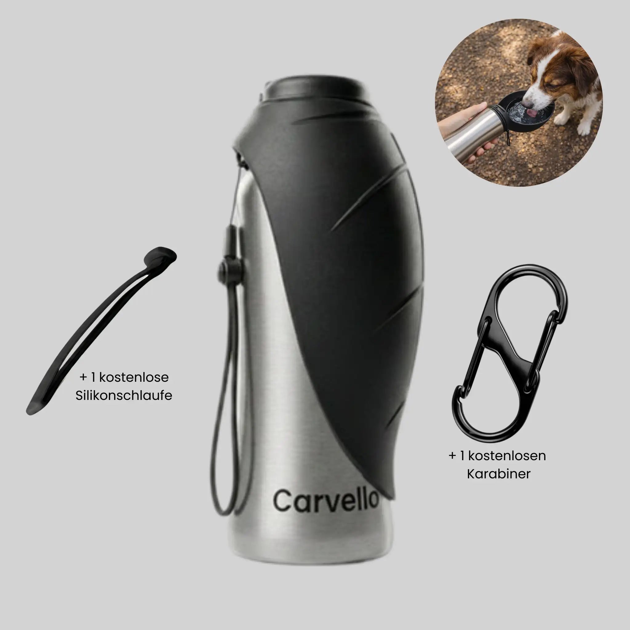 TravelBuddy | Edelstahl Trinkflasche für Unterwegs