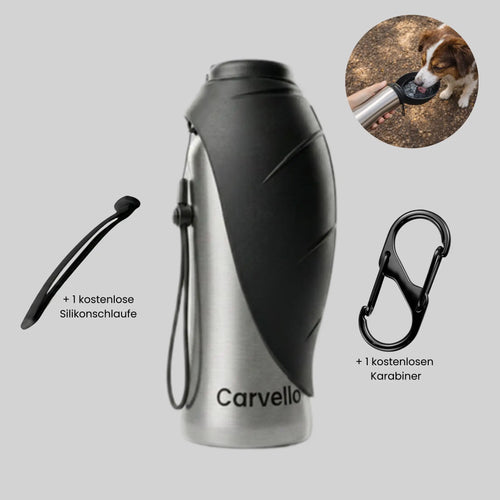 TravelBuddy | Edelstahl Trinkflasche für Unterwegs