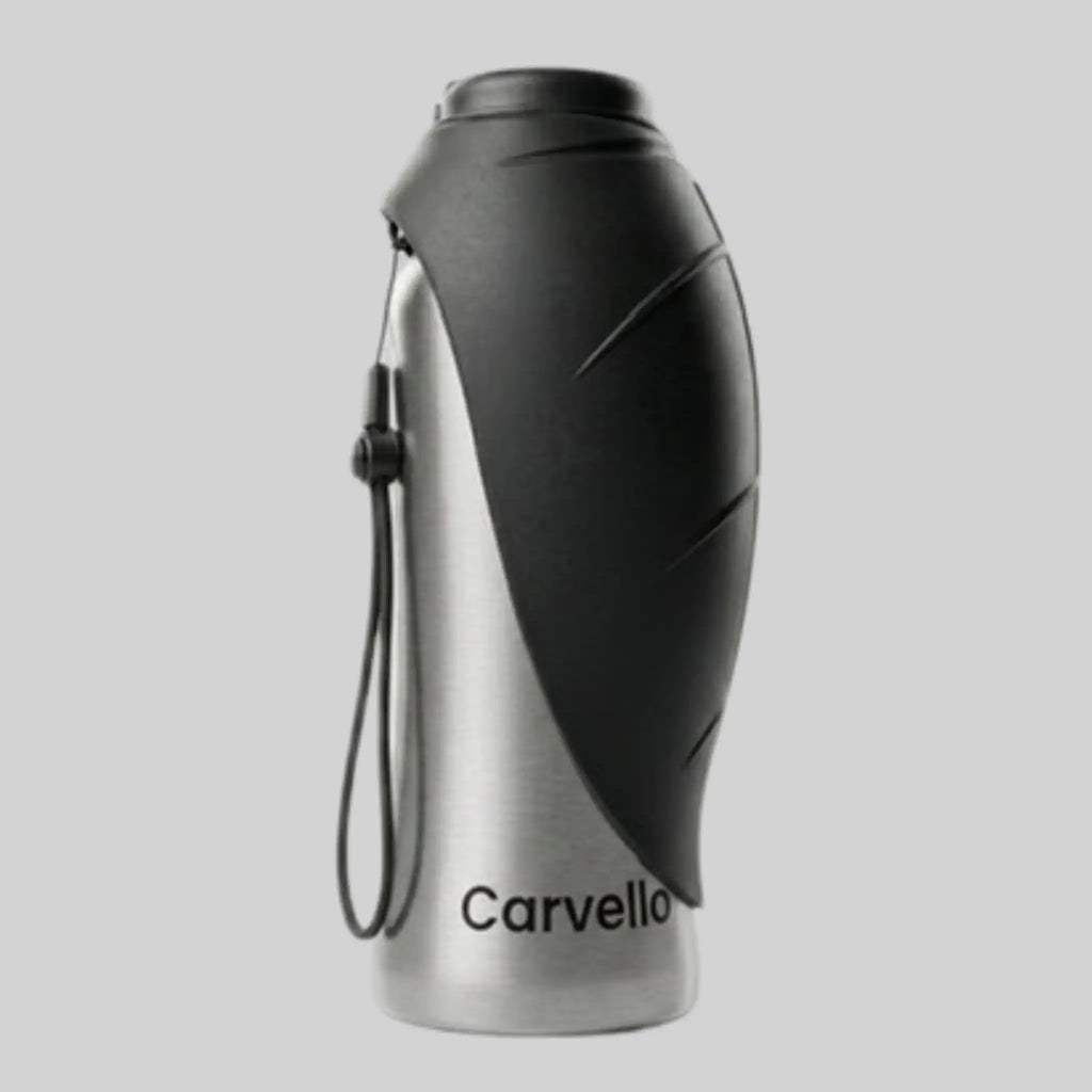 TravelBuddy | Edelstahl Trinkflasche für Unterwegs