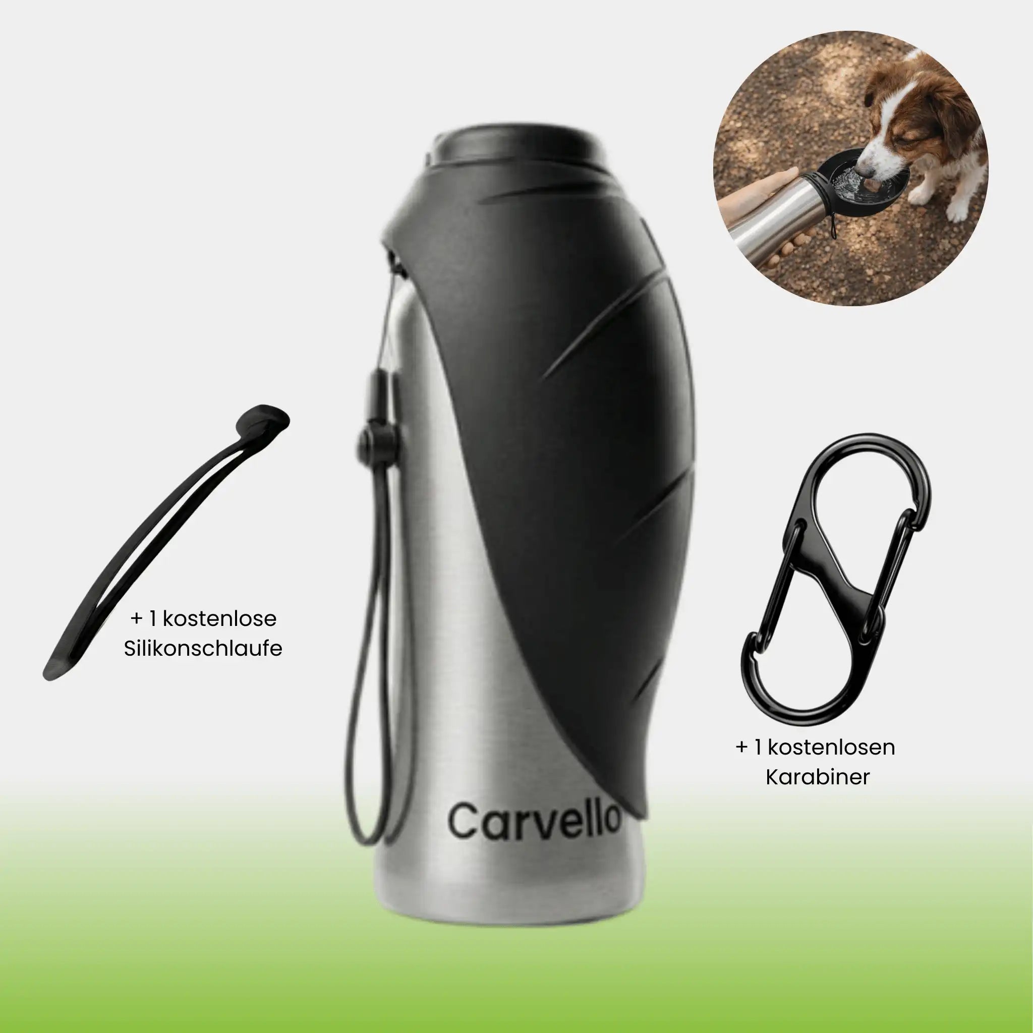 TravelBuddy | Edelstahl Trinkflasche für Unterwegs