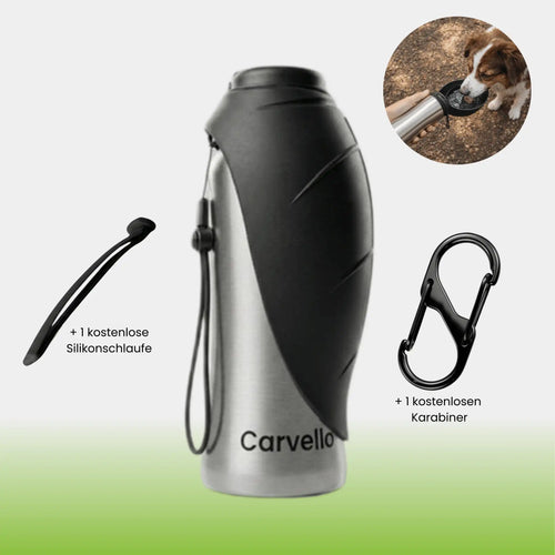 TravelBuddy | Edelstahl Trinkflasche für Unterwegs