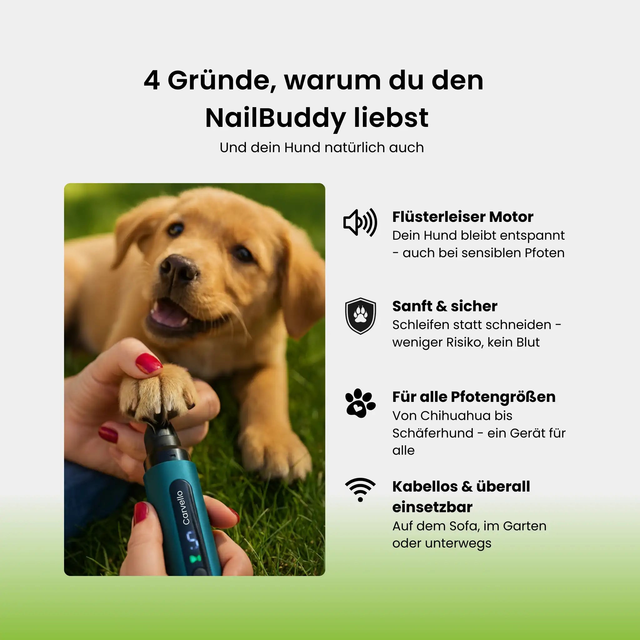 NailBuddy | Krallenschleifer