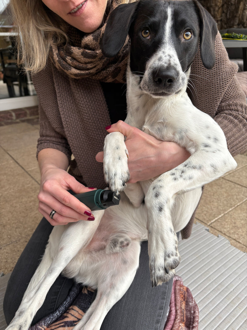 Freude statt Stress bei der Anwendung