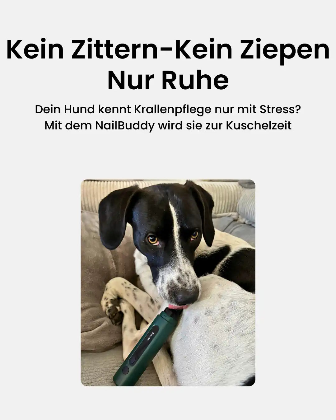 Zittern ,Ziepen, Ruhe