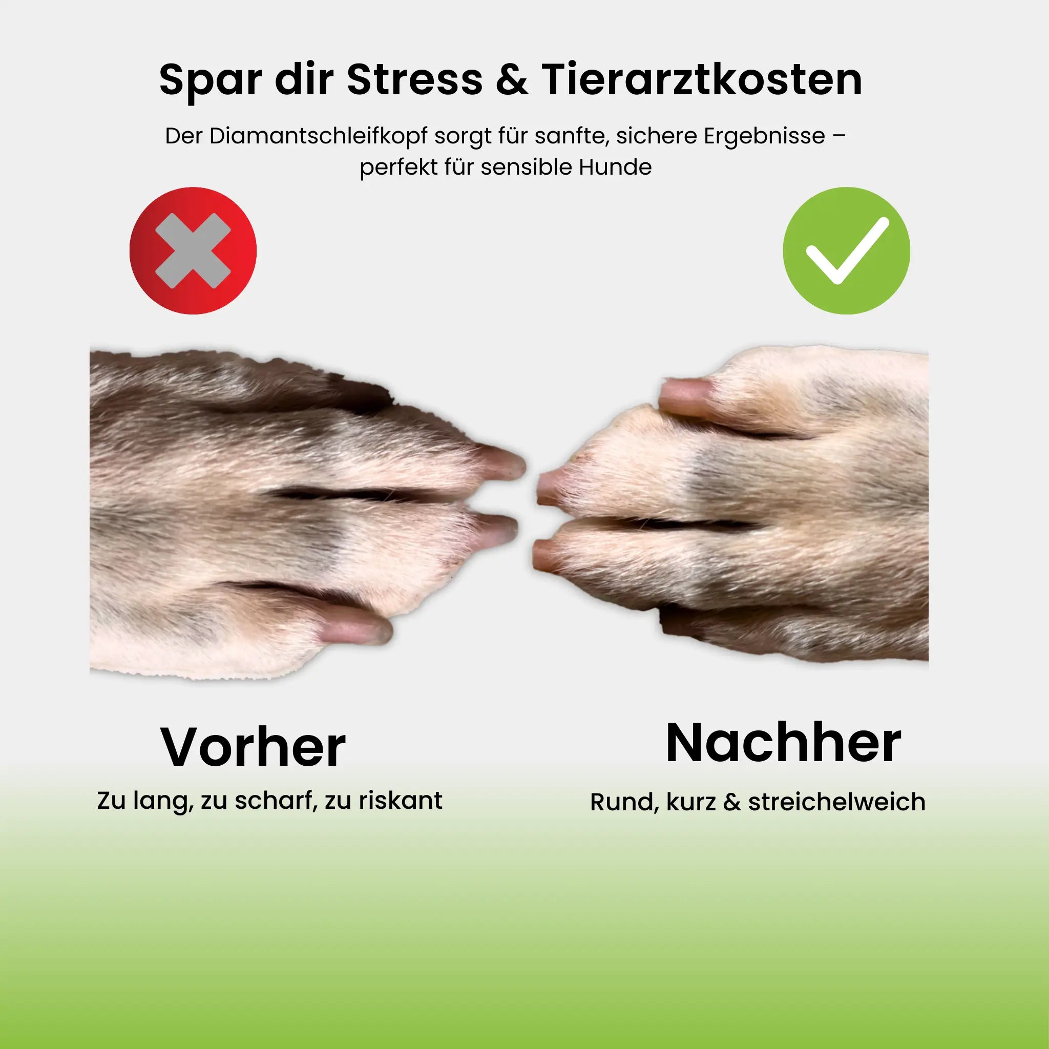 NailBuddy | Krallenschleifer