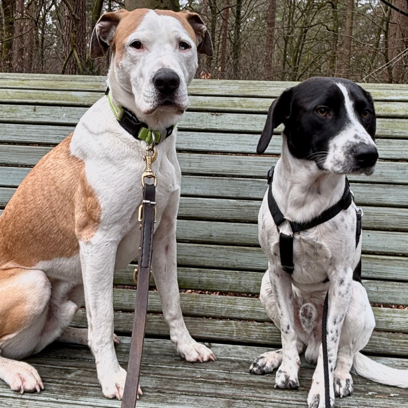 4.8 Sterne★★★★★ aus echten Bewertungen