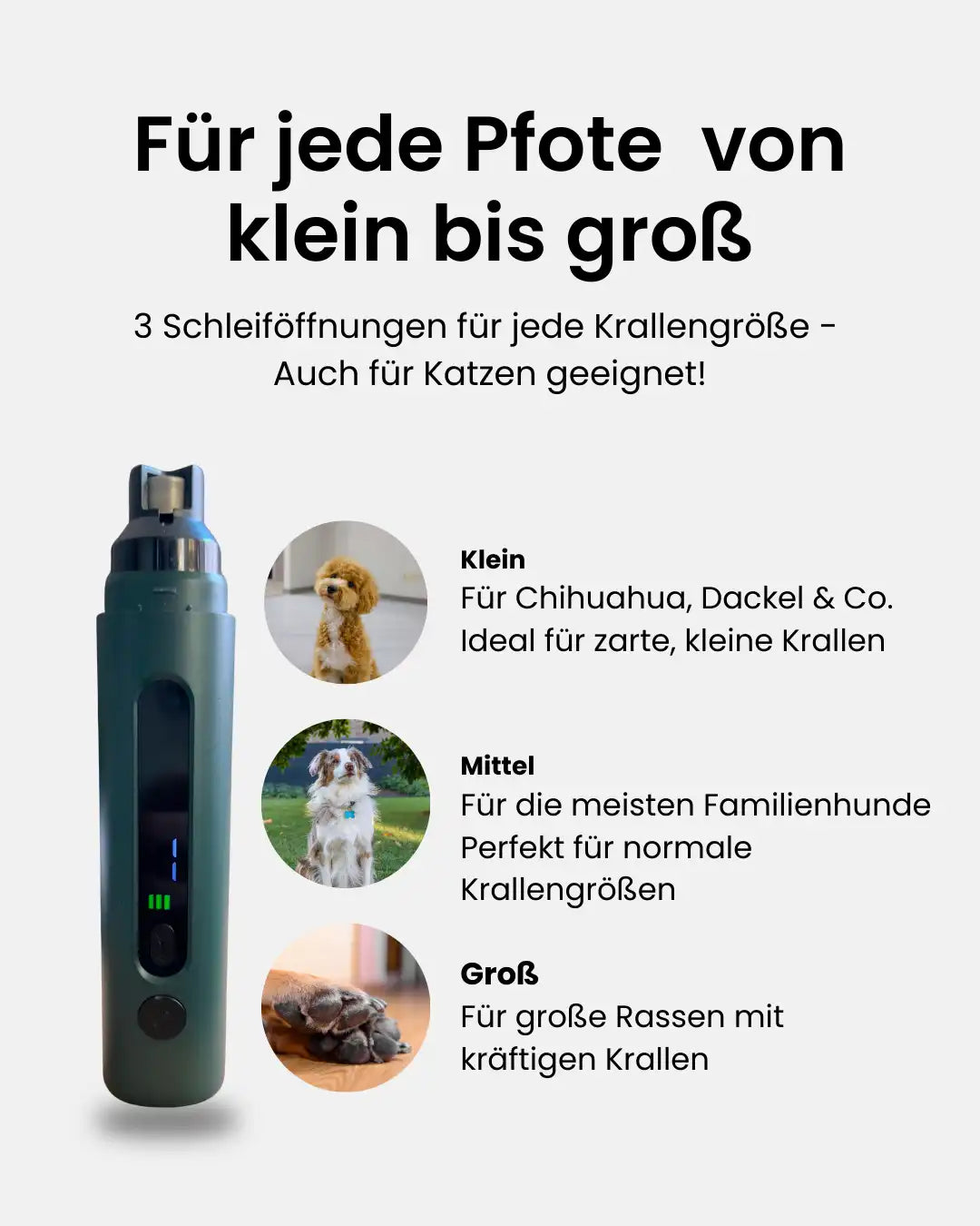 kleine und große Pfoten